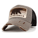 Brown - Stripe Bear